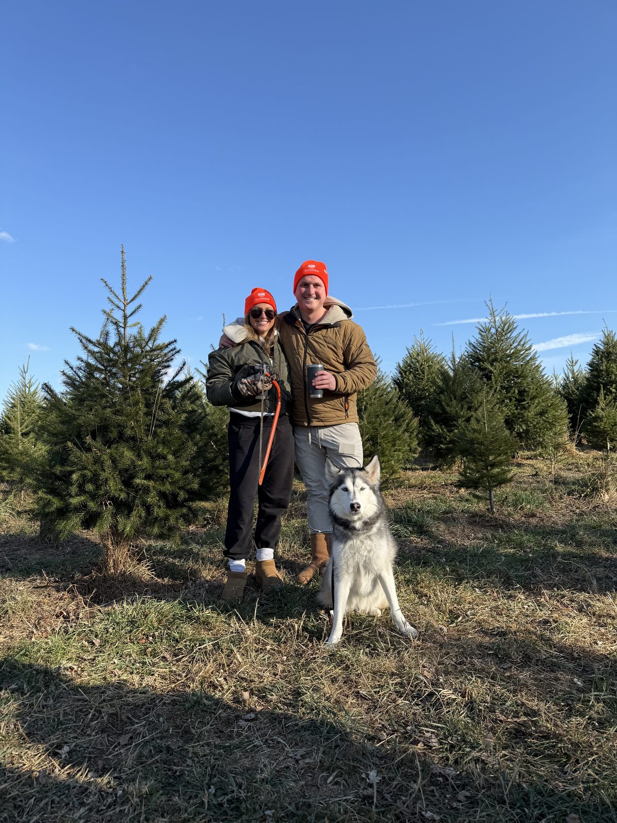 At a Christmas tree farm with their husky